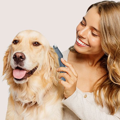 Aspirador e Multigroom Ufesa Pet Buddy Groom - Azul - Image 4