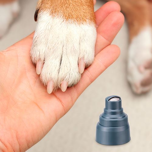 Aspirador e Multigroom Ufesa Pet Buddy Groom - Azul - Image 6