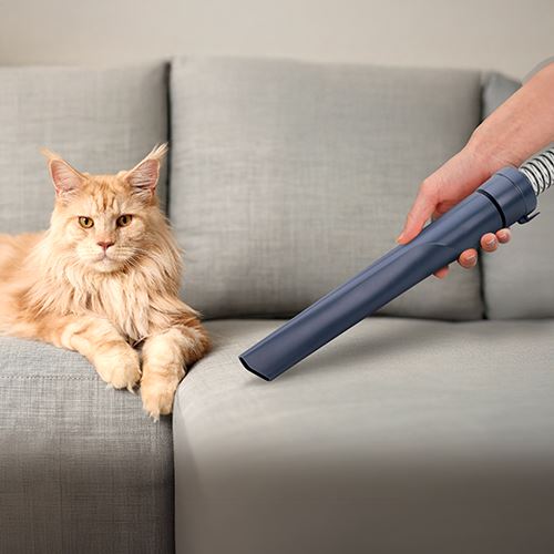 Aspirador e Multigroom Ufesa Pet Buddy Groom - Azul - Image 7