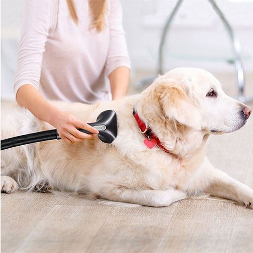 Aspirador Vertical Aerian Handy Power Pet - Image 6