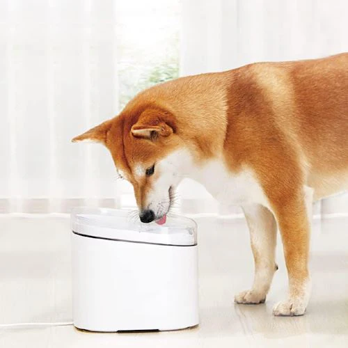 Bebedouro Inteligente Para Animais Xiaomi Smart Pet Water Fountain - Image 7