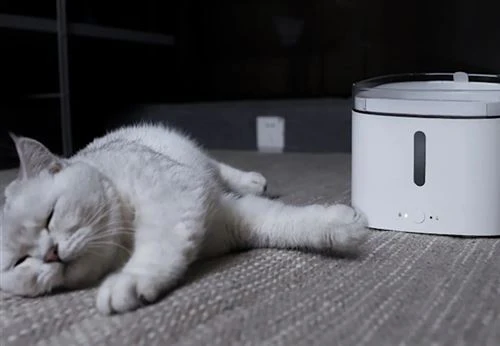 Bebedouro Inteligente Para Animais Xiaomi Smart Pet Water Fountain - Image 9