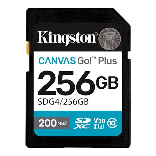 Cartão de Memória SDXC Kingston Canvas Go! Plus - 256GB