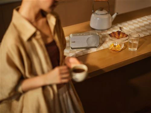 Coluna Portátil Bluetooth Bose SoundLink Home - Light Silver - Image 7