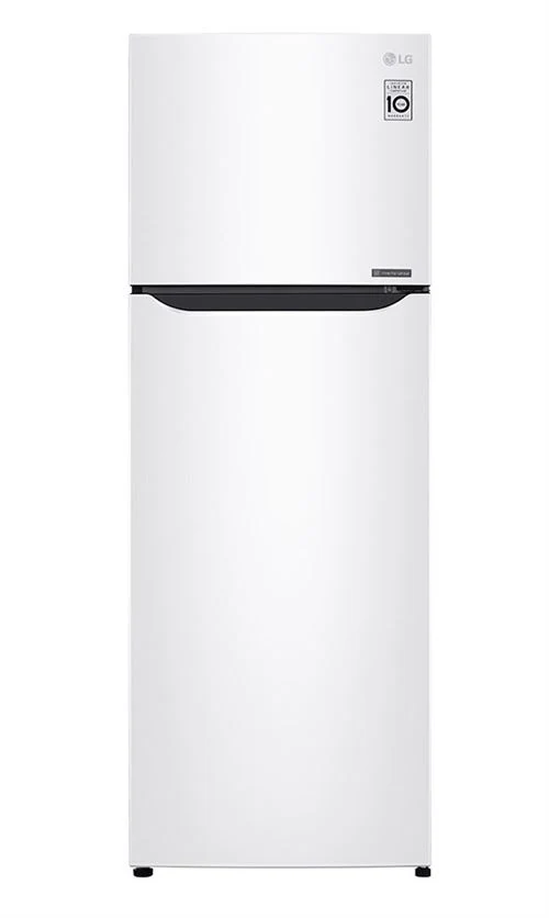 Frigorífico com Congelador LG GTB523SWCZD | 169x60x66,5 cm | 243 L | F | Branco