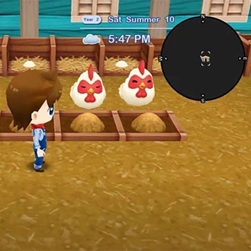 Harvest Moon: The Lost Valley & Skytree Village - Collector's Edition - Nintendo Switch - Image 4