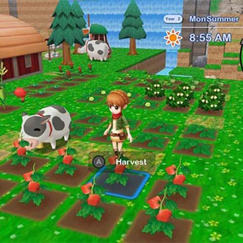 Harvest Moon: The Lost Valley & Skytree Village - Nintendo Switch - Image 3