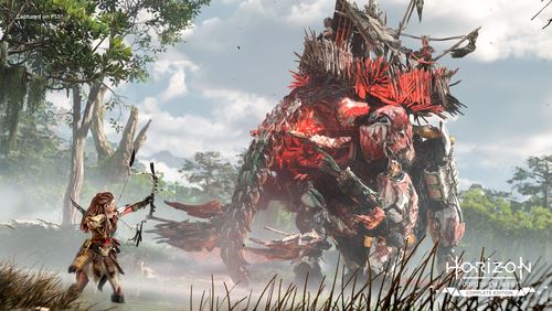 Horizon Forbidden West™ - Edição Completa - PS5™ - Image 8