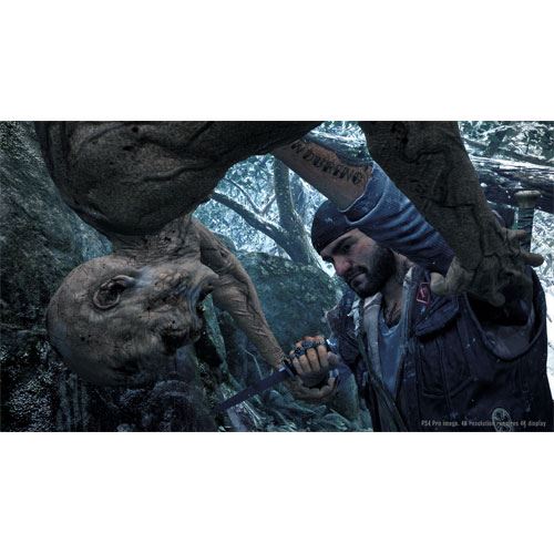 Days Gone - PS4 - Image 5