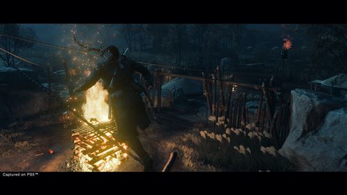 Ghost of Tsushima Director’s Cut - PS4 - Image 8