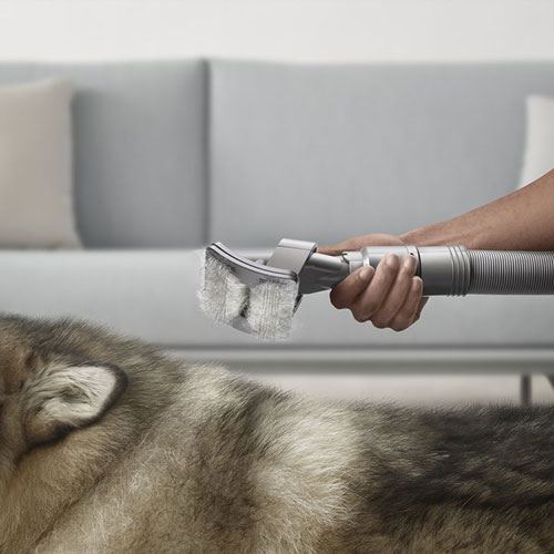 Kit Dyson Pet Grooming - Image 3