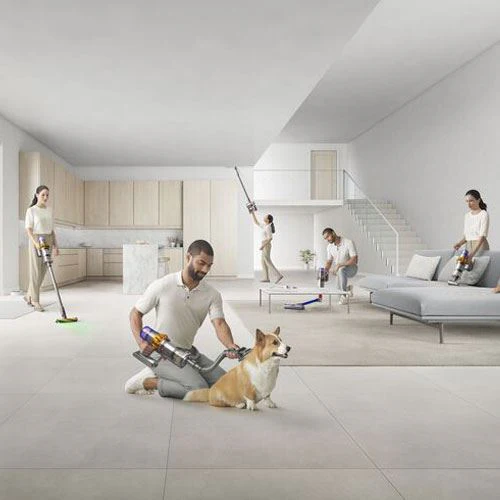 Kit Dyson Pet Grooming - Image 6