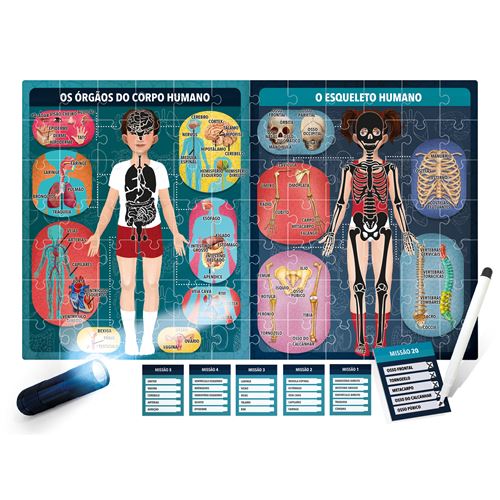 O Corpo Humano ao Raio X - Headu - Image 3