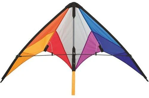 Papagaio Calypso II - Arco-Íris - Image 2