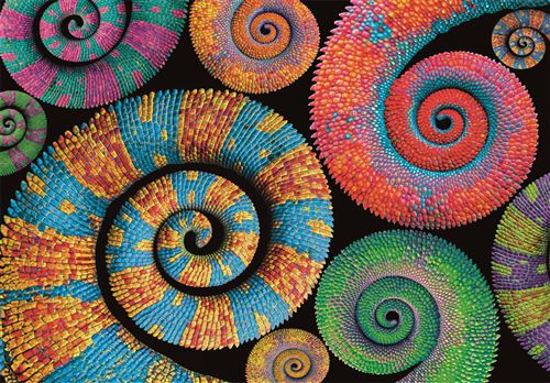 Puzzle Compact Colorboom Collection: Curly Tails - 500 Peças - Clementoni - Image 2