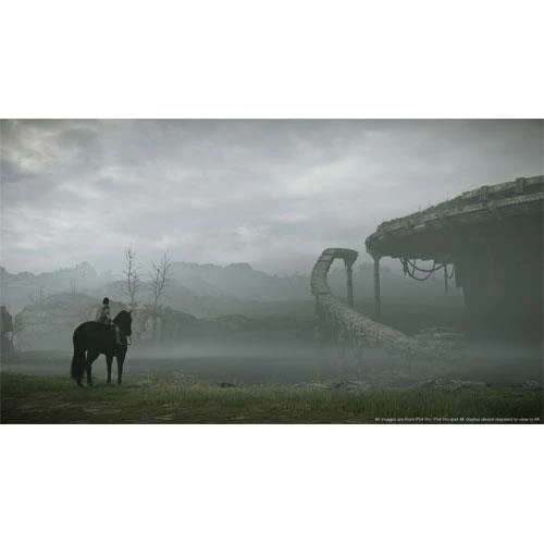 Shadow of the Colossus PS4 - Image 16