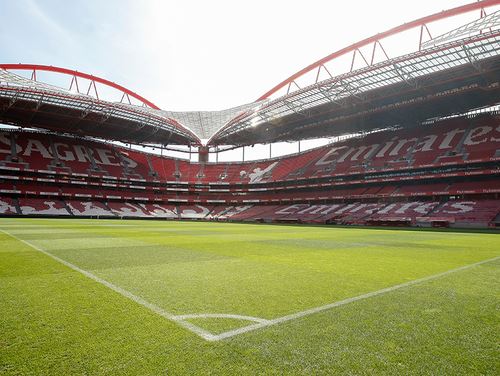 Pack Presente Odisseias - Sport Lisboa e Benfica | Estádio e Museu + Luz by Chakall - Image 3